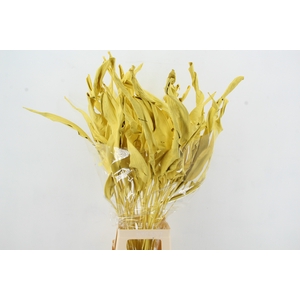 DF Strelitzia Leaf Yellow