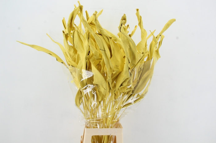 <h4>DF Strelitzia Leaf Yellow</h4>