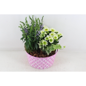 arr4 Outdoor PL - Zink schaal ruit roze