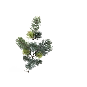 Pine Spray