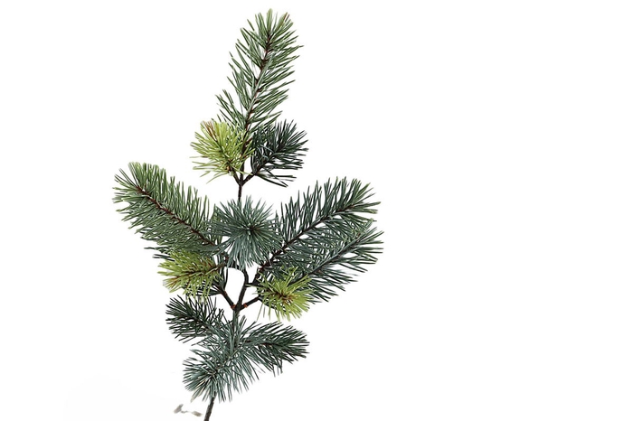 <h4>Pine Spray</h4>