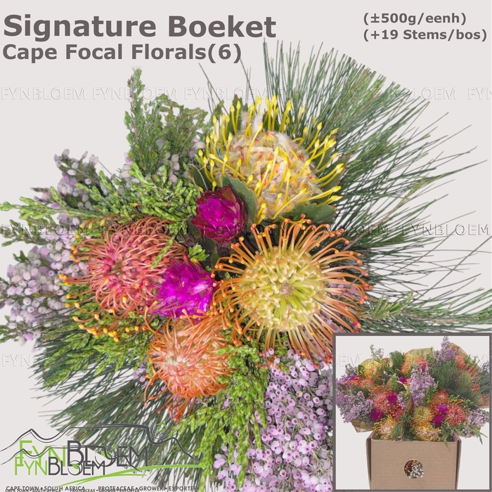<h4>PROTEA PER BOS</h4>