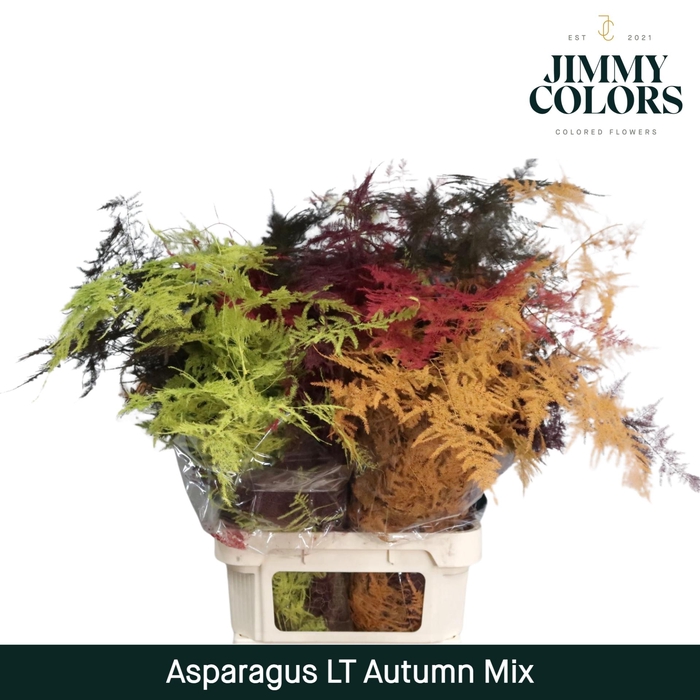 <h4>Aspa lang getopt Autumn Mix</h4>