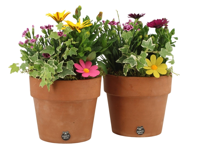 <h4>31695: Outdoor summer arrangement</h4>