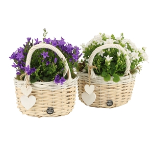 21887: Lovess outdoor arrangement