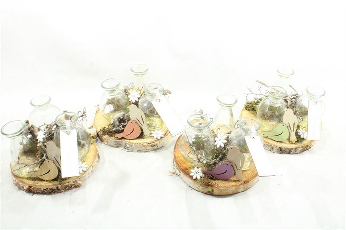 <h4>0181 SCHORS 3 FLESJES</h4>