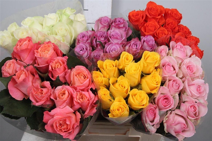 <h4>R Gr Gemengd In Fust</h4>