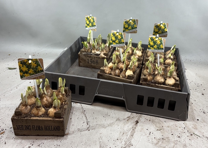 <h4>ARR N TETE A TETE</h4>