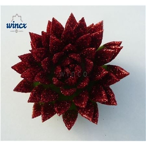 Echeveria Agavoides Glitter Red Cutflower Wincx-10