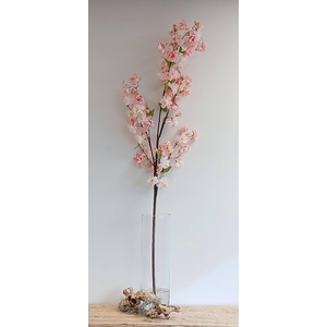 CHERRY BLOSSOM SPRAY PINK FL440287P L160