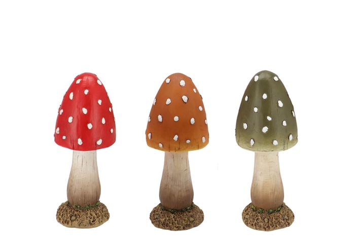 <h4>Wonderland Mushroom Scottisch Spice Boletus Ass 6x6x16cm</h4>