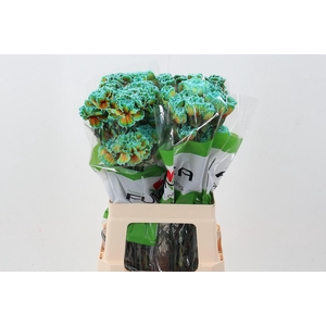 Di St Tinted Cameleon