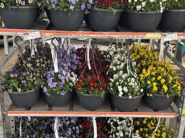 <h4>Vio Co End Mixk In Hangpot</h4>