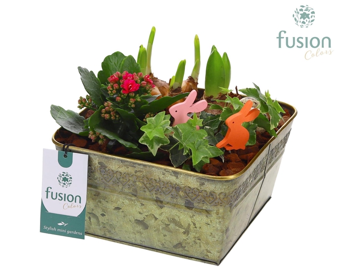 <h4>Zink schaal Voorjaar met arrangement</h4>