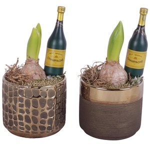 New Year Arr. Hyacint Ceramic Pure Luxury N568 Ø10cm 1PP