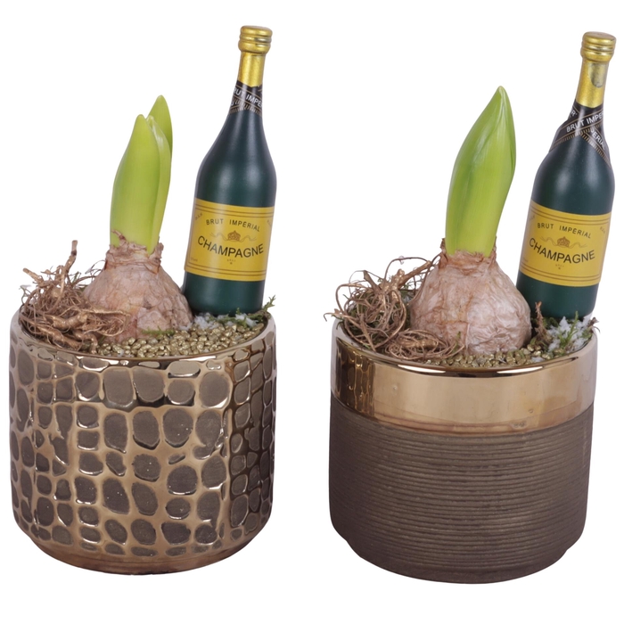 <h4>New Year Arr. Hyacint Ceramic Pure Luxury N568 Ø10cm 1PP</h4>