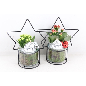 arr2 PL - Glas pot met ster frame x6