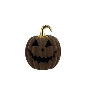 Autumn Flock Scottish Green Pumpkin Face Led 15x15