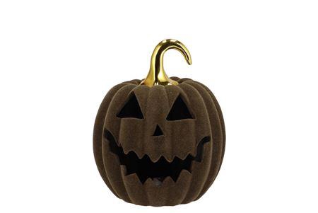 <h4>Autumn Flock Scottish Green Pumpkin Face Led 15x15</h4>