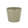Ceramic Kiwi Stone Pot 15cm