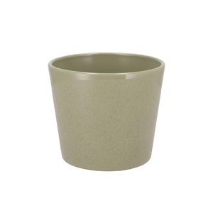 Ceramic Kiwi Stone Pot 15cm
