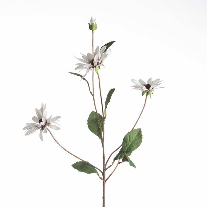 AF Rudbeckia L83cm White