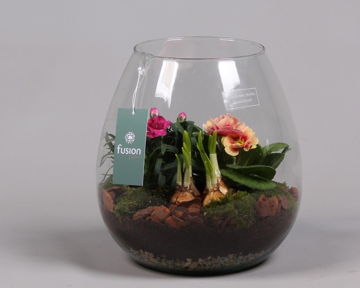 <h4>Green Bottle Abby Large Voorjaar met Arrangement</h4>