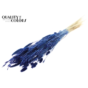 Dried Flower Mix bunch Bleached Blue