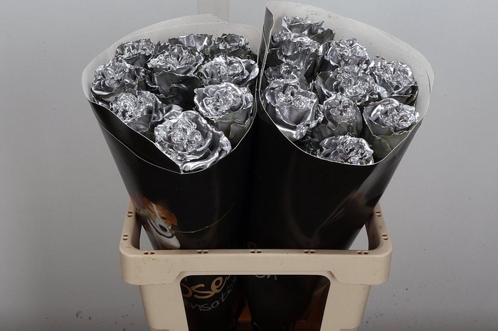 <h4>R Excl Wx Zilver</h4>