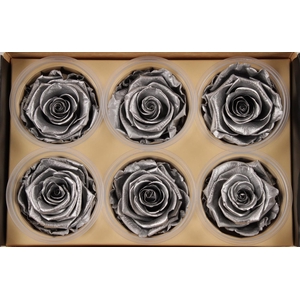R Prs Silver