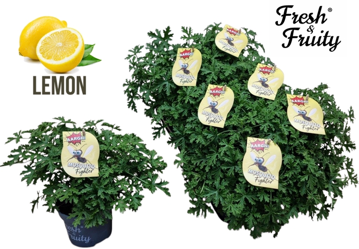 <h4>Pel. Fresh&Fruity® Mosquito Fighter</h4>