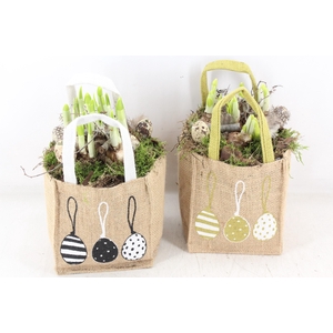 arr4 Narcis MB - Easter bag 338/6
