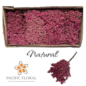Pepperberry Natural