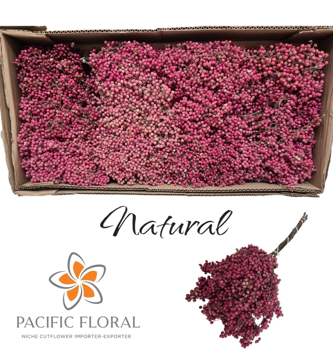 <h4>Pepperberry Natural</h4>