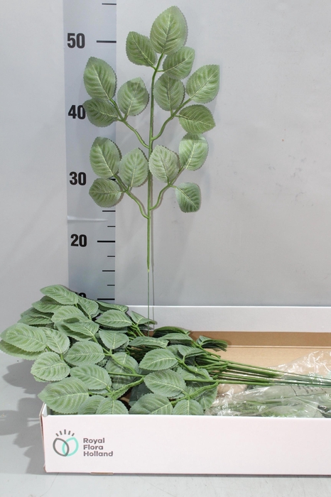 <h4>KUNSTBLOEM H%</h4>