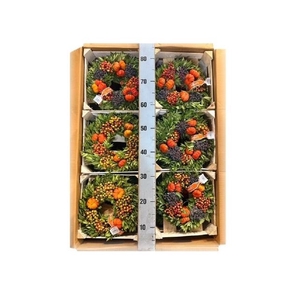KRANS SIERFRUIT H%