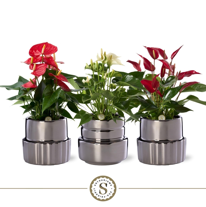 <h4>Oslo Silver Keramiek 12cm Mix</h4>