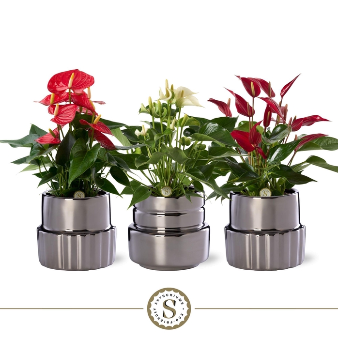 <h4>Oslo Silver Keramiek 12cm Mix</h4>