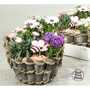ARR TUINPLANTEN