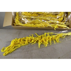 PF Amaranthus Hang Yellow Bs