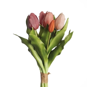 AF Tulip Bundle x7 L31cm Mix B