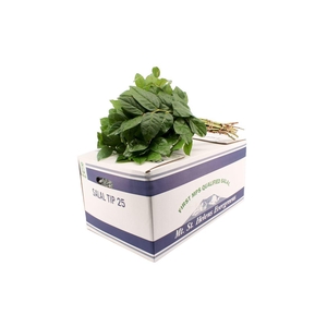 Salal Tip Blue Box Air