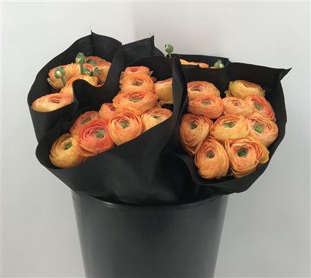 <h4>Ran Suc Honey Sup</h4>