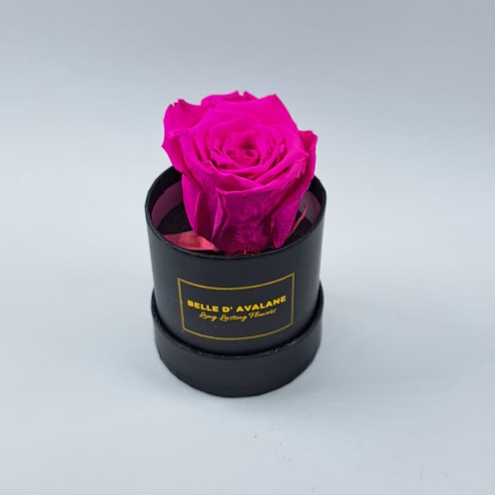 Box rd 8cm zwart-fuchsia