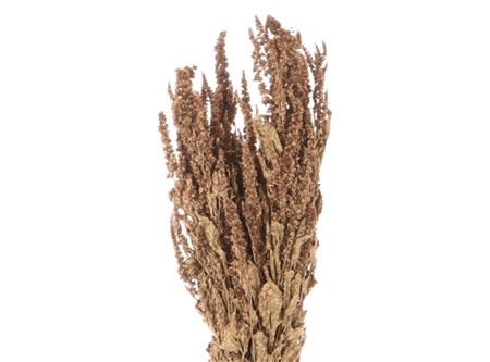 <h4>Bunch Amaranthus Slv 200g</h4>