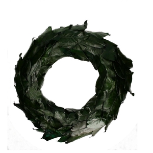 Wreath d50cm Magnolia leaves