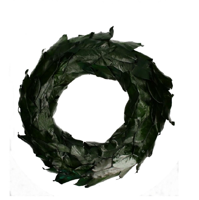 <h4>Wreath d50cm Magnolia leaves</h4>