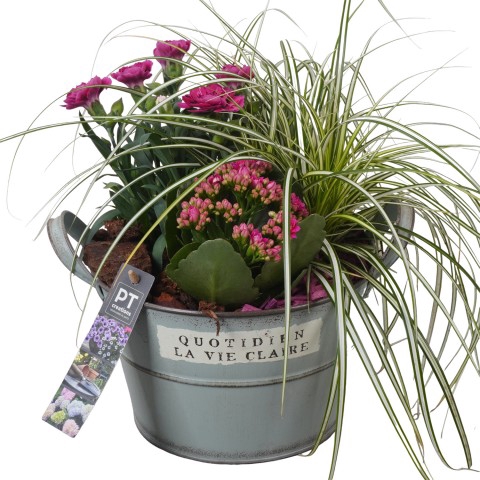 <h4>PTSO7223 Arrangementen Tuinplanten</h4>