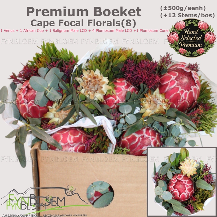 <h4>PROTEA PER BOS</h4>