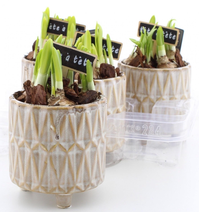 <h4>ARR N TETE A TETE</h4>